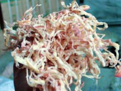 Phát hiện gần 2 tấn mực nghi làm từ cao su